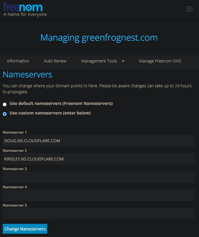 FreeNom Use custom nameservers